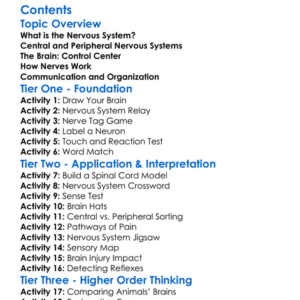 Nervous System Structure And Organization Worksheet Activity Booklet