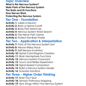 Nervous System Structure Worksheet Activity Booklet