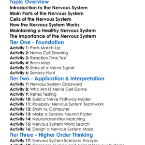 Nervous System Worksheet Activity Booklet