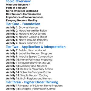 Neurons And Nerve Impulses Worksheet Activity Booklet