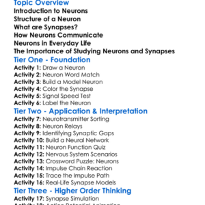 Neurons And Synapses Worksheet Activity Booklet