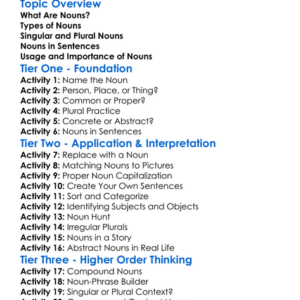 Noun Usage Worksheet Activity Booklet