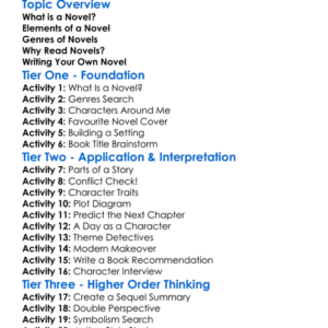 Novel Worksheet Activity Booklet