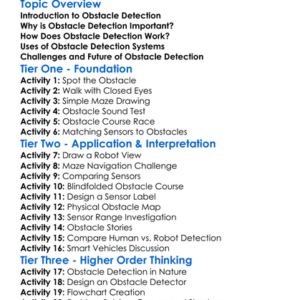 Obstacle Detection Worksheet Activity Booklet