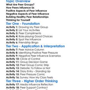 Peer Groups And Influence Worksheet Activity Booklet