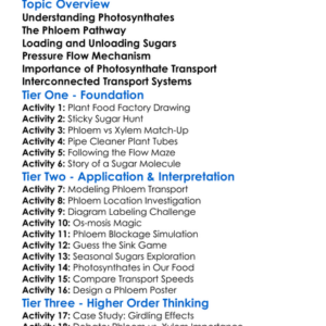 Photosynthates Transport In Plants Worksheet Activity Booklet