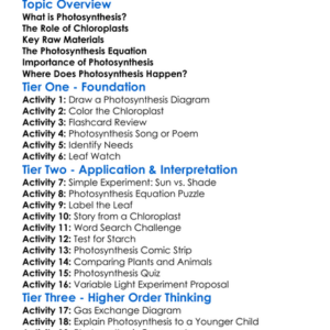 Photosynthesis In Plant Cells Worksheet Activity Booklet