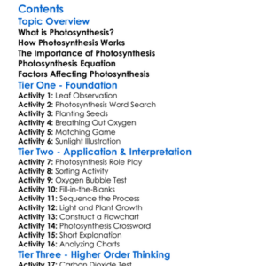 Photosynthesis Process And Importance Worksheet Activity Booklet