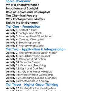 Photosynthesis Process In Plants Worksheet Activity Booklet