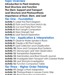 Plant Anatomy Root Stem Leaf Worksheet Activity Booklet