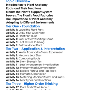 Plant Anatomy Stems Roots Leaves Worksheet Activity Booklet