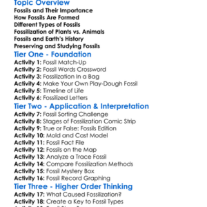 Plant And Animal Fossilization Worksheet Activity Booklet