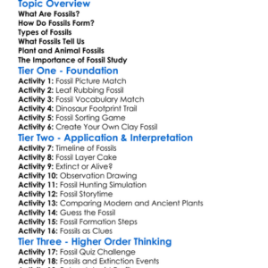 Plant And Animal Fossils Worksheet Activity Booklet