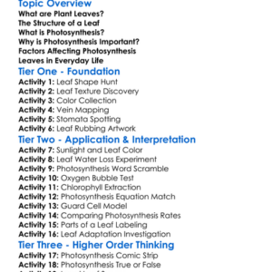 Plant Leaves And Photosynthesis Worksheet Activity Booklet