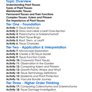 Plant Tissues And Their Functions Worksheet Activity Booklet