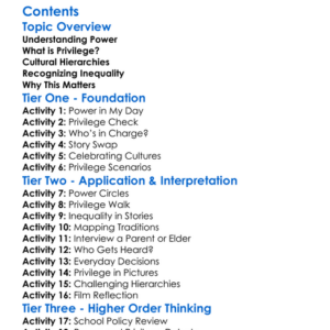 Power Privilege And Cultural Hierarchies Worksheet Activity Booklet