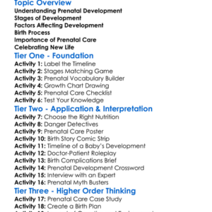 Prenatal Development And Birth Worksheet Activity Booklet
