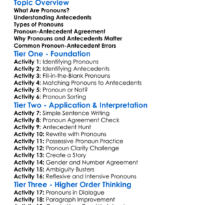 Pronouns And Antecedents Worksheet Activity Booklet