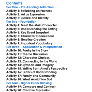 Punching The Air Ibi Zoboi  Yusef Salaam Worksheet Activity Booklet