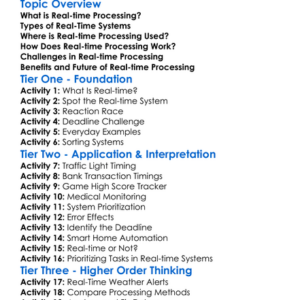 Real-Time Processing Worksheet Activity Booklet
