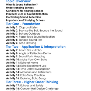 Reflection Of Sound Echo Worksheet Activity Booklet