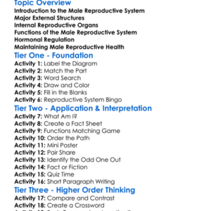 Reproductive System Male Anatomy Worksheet Activity Booklet