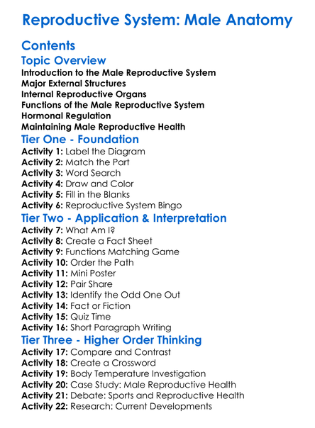 Reproductive System Male Anatomy Worksheet Activity Booklet