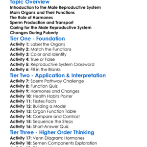 Reproductive System Male Worksheet Activity Booklet