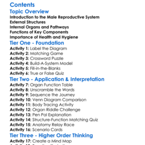 Reproductive System Structure Male Worksheet Activity Booklet
