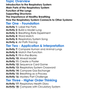 Respiratory System Anatomy Worksheet Activity Booklet