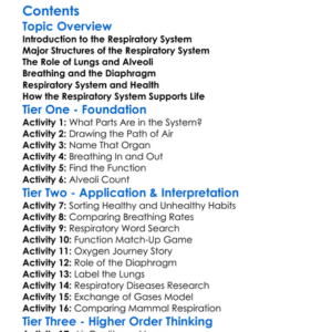 Respiratory System Structure And Function Worksheet Activity Booklet