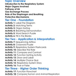 Respiratory System Structure Worksheet Activity Booklet