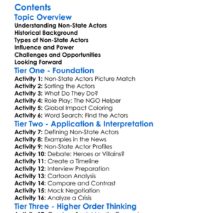 Rise Of Non-State Actors In Global Politics Worksheet Activity Booklet