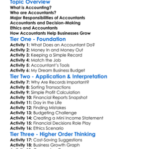 Role Of Accountants In Business Worksheet Activity Booklet