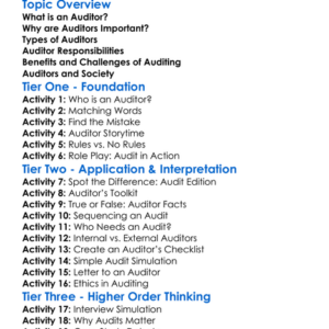 Role Of Auditors Worksheet Activity Booklet