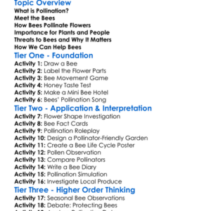 Role Of Bees In Pollination Worksheet Activity Booklet