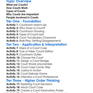 Role Of Courts Worksheet Activity Booklet
