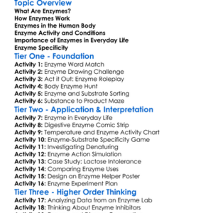 Role Of Enzymes In Biology Worksheet Activity Booklet