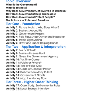Role Of Government In Business Worksheet Activity Booklet