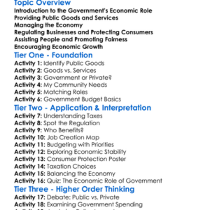Role Of Government In The Economy Worksheet Activity Booklet