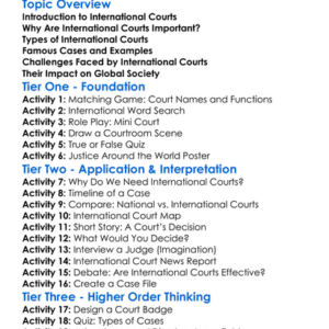 Role Of International Courts Worksheet Activity Booklet