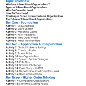 Role Of International Organizations Worksheet Activity Booklet