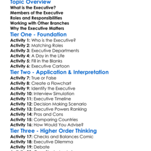 Role Of The Executive Worksheet Activity Booklet