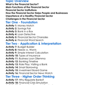 Role Of The Financial Sector Worksheet Activity Booklet