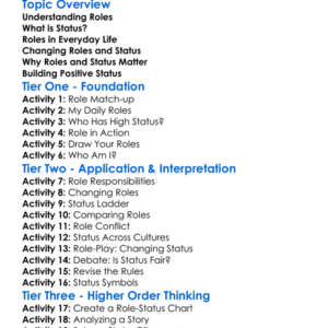 Roles And Status Worksheet Activity Booklet