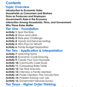Roles Of Households Firms And Government Worksheet Activity Booklet