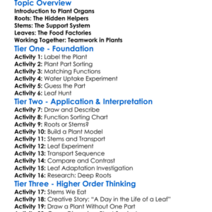 Roots Stems And Leaves Functions Worksheet Activity Booklet
