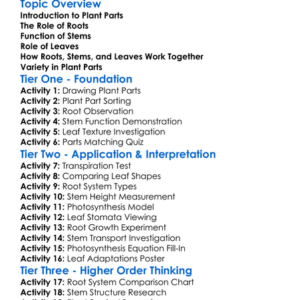 Roots Stems And Leaves Worksheet Activity Booklet