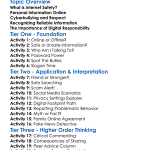 Safe And Responsible Internet Use Worksheet Activity Booklet