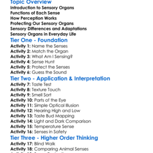 Sensory Organs And Perception Worksheet Activity Booklet